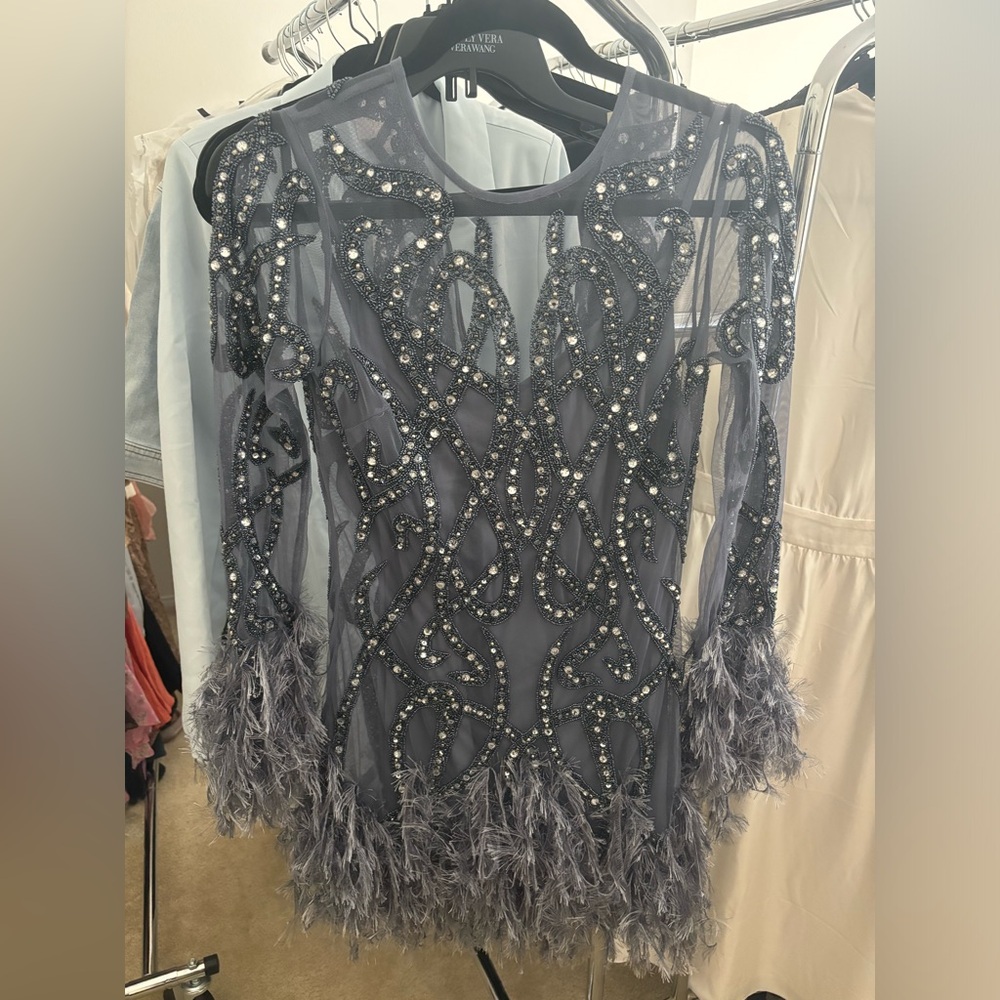 Embellished Sheer Dress with Feather Details